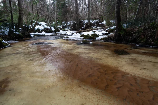 Pequeño Río Bosque Invierno — Foto de Stock