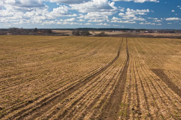 Farm Field Summer Day — Stock Photo, Image