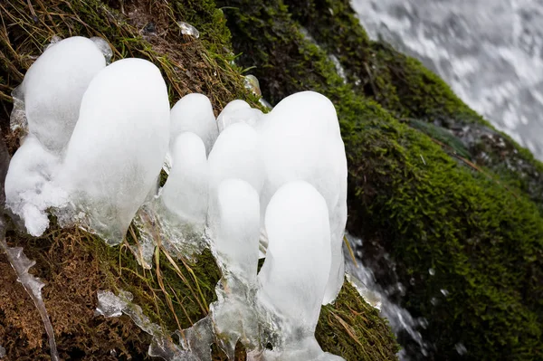 Hielo Frío Arroyo Agua Bosque Invierno — Foto de Stock