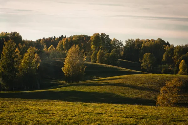 Güneşli bir günde güzel yeşil bir manzara