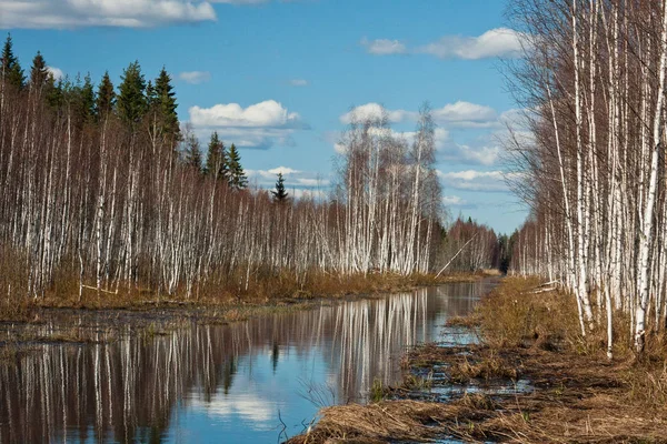 Winter landscape of river and coast with forest