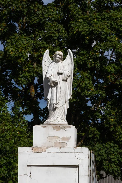 Estátua Anjo Jardim Verde — Fotografia de Stock