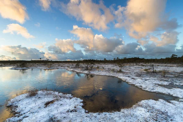 Kış Mevsiminde Güzel Kuzey Manzarası — Stok fotoğraf
