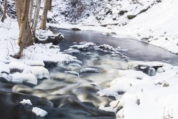 Petite Rivière Dans Forêt Enneigée — Photo