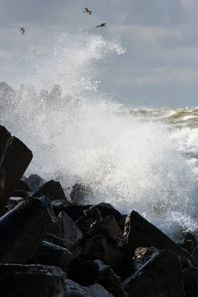 Costa Mar Com Ondas Quebra Mares — Fotografia de Stock