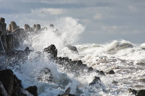 Dalgalı Dalgalı Deniz Kıyısı — Stok fotoğraf
