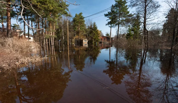 Zaplavená Lotyšská Vesnice Domy — Stock fotografie