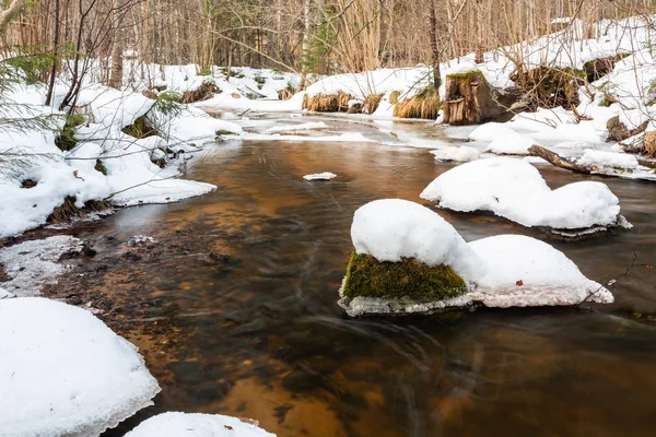 Pequeño Río Bosque Invierno — Foto de Stock