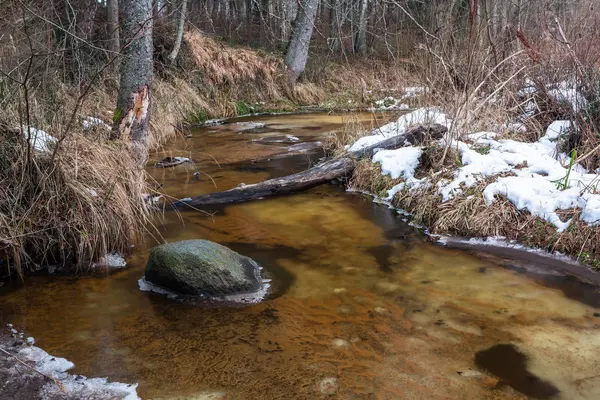 Pequeno Rio Floresta Inverno — Fotografia de Stock