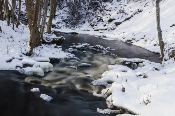Μικρό Ποτάμι Στο Χιονισμένο Δάσος — Φωτογραφία Αρχείου