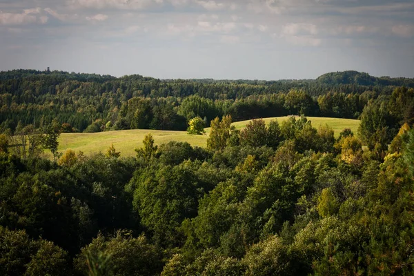 Piękny Zielony Krajobraz Lasem Łąkami — Zdjęcie stockowe