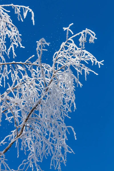 Sfondo Blu Invernale Con Fiocchi Neve — Foto Stock