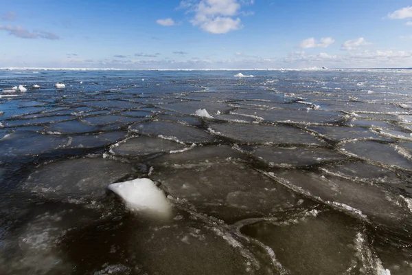 Sea Coast Ice Winter Season — 스톡 사진