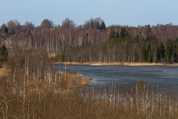 Piękny Północny Krajobraz Dzień — Zdjęcie stockowe