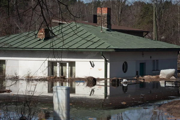 Letonya köyü evlerle dolup taşıyor