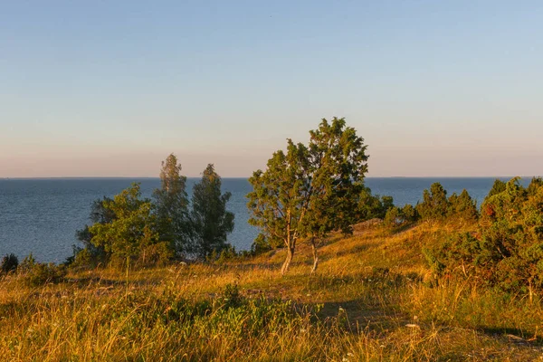 Vackra Landskap Solig Dag — Stockfoto