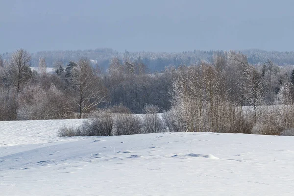 kış sezonu karlı manzara
