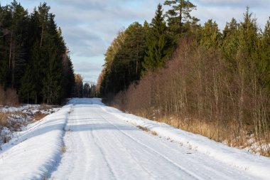Kuzey ormanında karlı bir yol