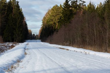 Kuzey ormanında karlı bir yol