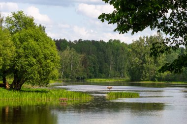 Nehir ve ormanlı güzel yeşil bir manzara.