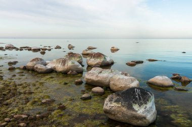 Taş deniz kıyısında gündüz vakti