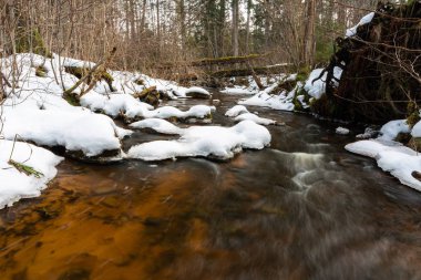 Kış ormanında küçük bir nehir