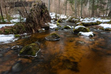 Kış ormanında küçük bir nehir