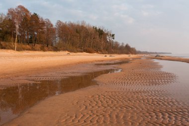 Kumlu sahil gündüz vakti