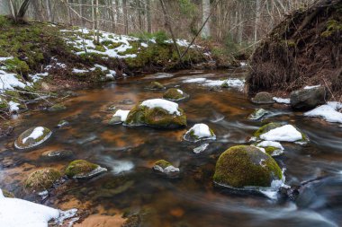 Kış ormanında küçük bir nehir