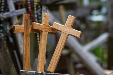 Parktaki eski ahşap çit