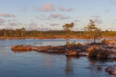 Kışın bulutlu ve buzlu Boglake