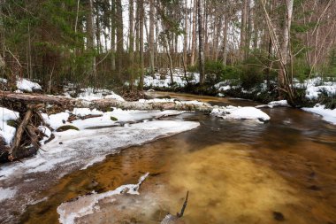 Kış ormanında küçük bir nehir