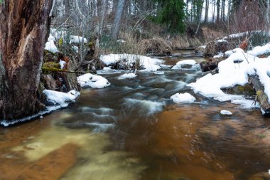 Kış ormanında küçük bir nehir