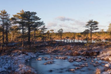Buzlu ve bulutlu Boglake