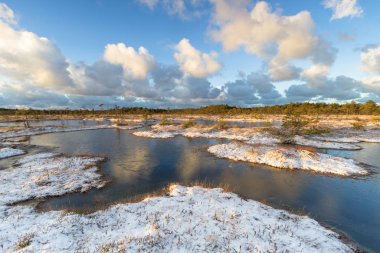 Kış mevsiminde güzel kuzey manzarası