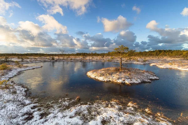 Bela Paisagem Norte Temporada Inverno — Fotografia de Stock