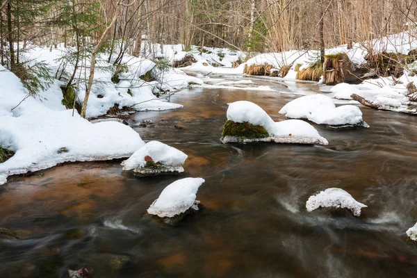 Pequeño Río Bosque Invierno — Foto de Stock