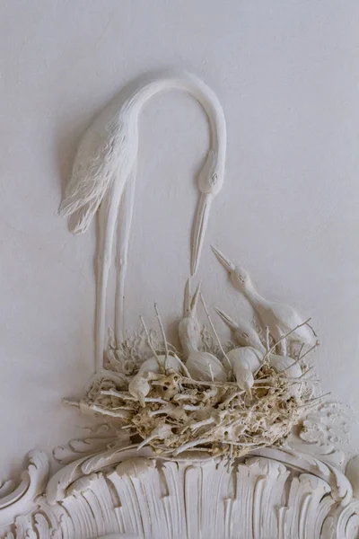 Angel Flour White Background — Stok fotoğraf