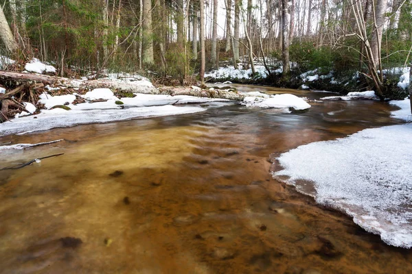 Kleiner Fluss Winterwald — Stockfoto