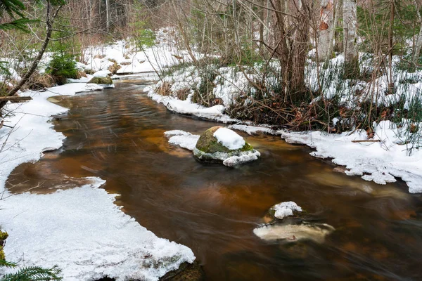 Kleiner Fluss Winterwald — Stockfoto