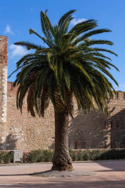 Avrupa 'da eski bir kale