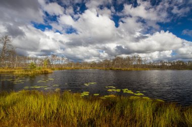 Gündüz güzel manzara