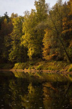 Nehir ve ormanlı güzel bir manzara.