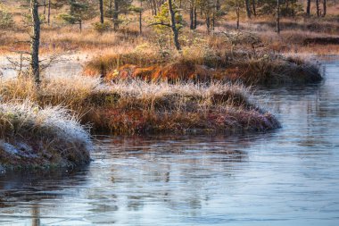 güneşli bir gün güzel manzara
