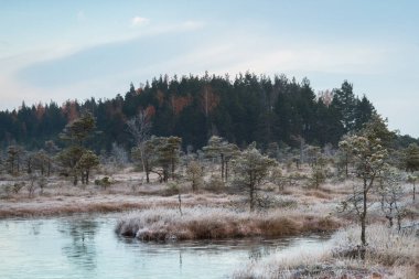 güneşli bir gün güzel manzara