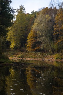 Nehir ve ormanlı güzel bir manzara.