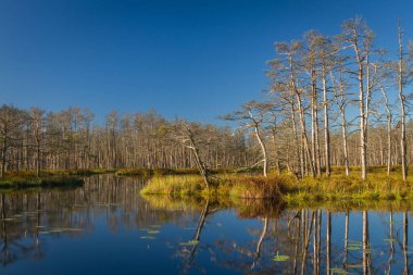 Gündüz güzel manzara