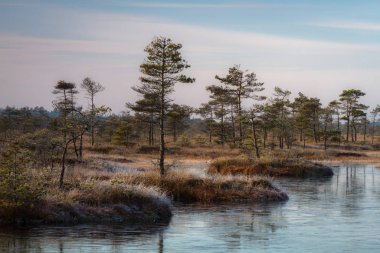 güneşli bir gün güzel manzara