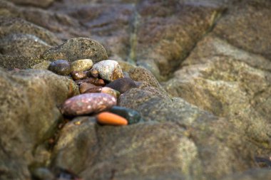 Kayalık deniz kıyıları