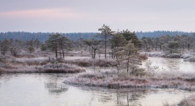 Soğuk bir günde güzel manzara